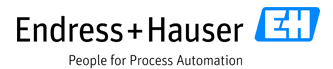 Endress + Hauser - innobit ag